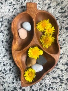 Montessorietmoi-fleurs-pierre